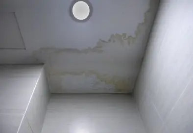 Humidité